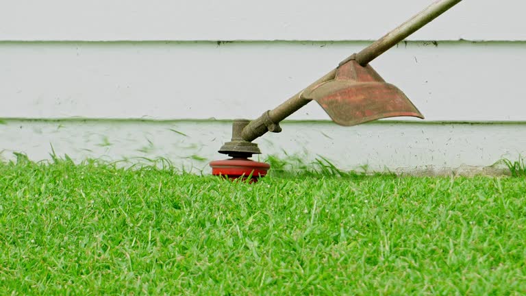 Lawn Maintenance Plans in Cramerton, NC